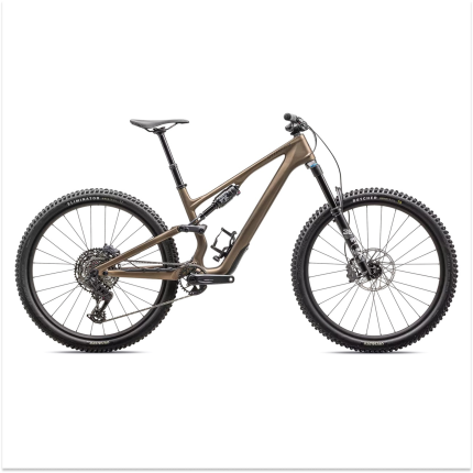 Specialized Stumpjumper 15